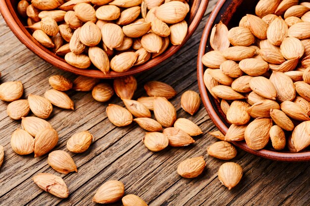 Dry apricot seeds in bowl