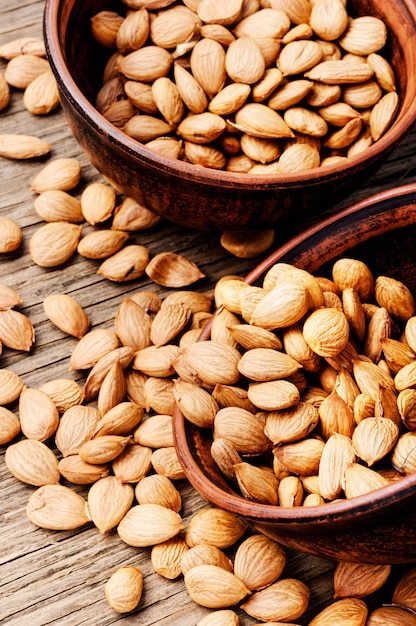 Dry apricot seeds in bowl