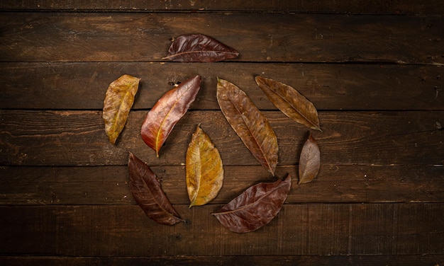Dry autumn leaves flat lay on dark wooden background with copy space
