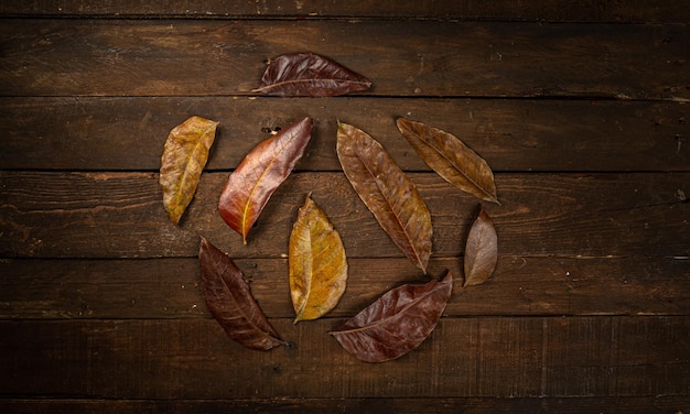 Dry autumn leaves flat lay on dark wooden background with copy
space