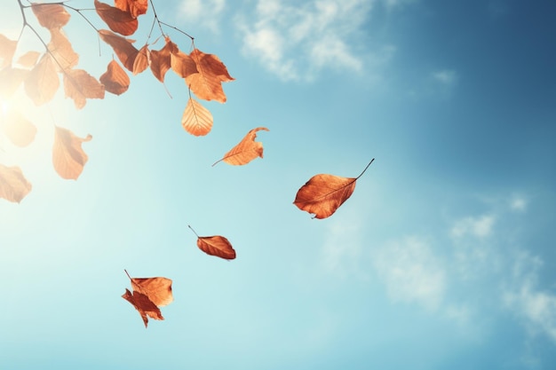 Photo dry autumn leaves floating with sky background
