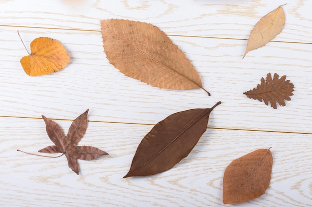 Dry Autumn leaves on a wooden panel texture