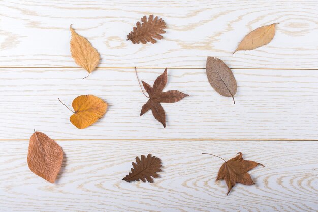 Dry Autumn leaves on a wooden panel texture