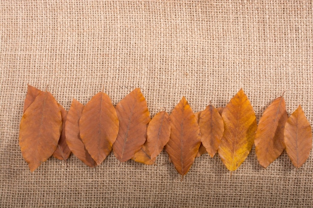 Dry autumn season leaves on linen canvas