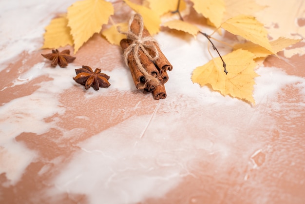 Foglie asciutte della betulla di giallo di autunno su un calcestruzzo. autunno accogliente