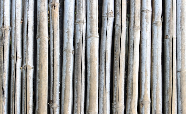 Dry bamboo wall for background