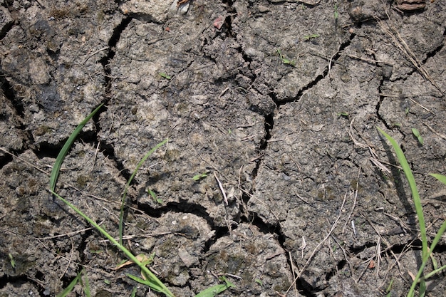 Dry barren soil grow agriculture