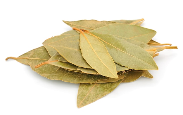 Dry bay leaf