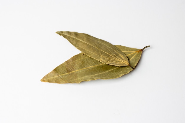 Dry bay leaves isolated