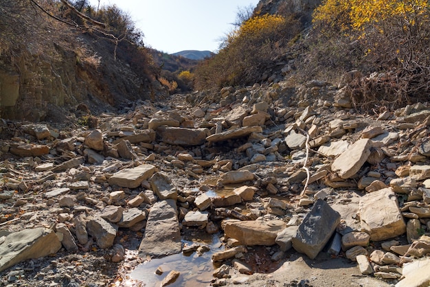 Dry bed of a mountain river