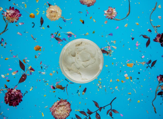 Dry Bellis herb with flowers and skin care cream on blue background isolated. Without shadows