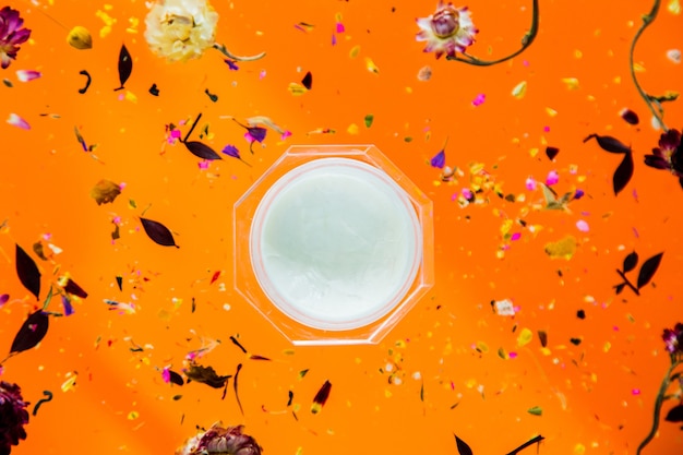 Dry Bellis herb with flowers and skin care cream on orange background isolated. Without shadows