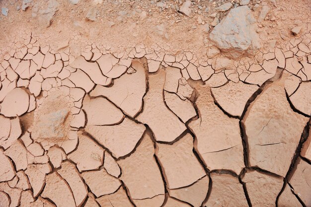 dry brown  ground background