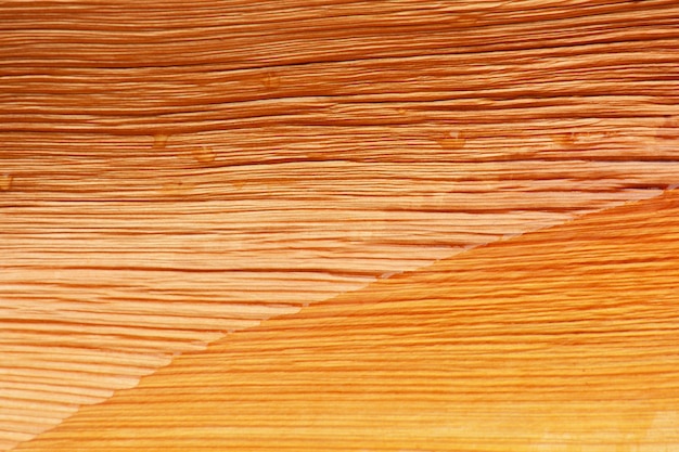 Dry brown palm leaf texture