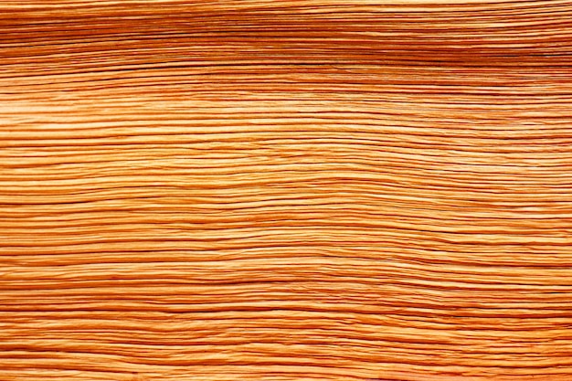 Dry brown palm leaf texture