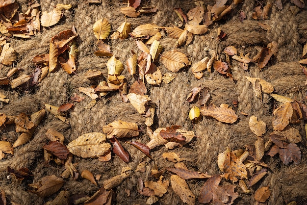 麻ロープの背景に乾燥した茶色と黄色の紅葉