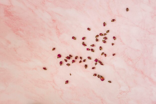 Dry buds of tea roses on pink marble surface