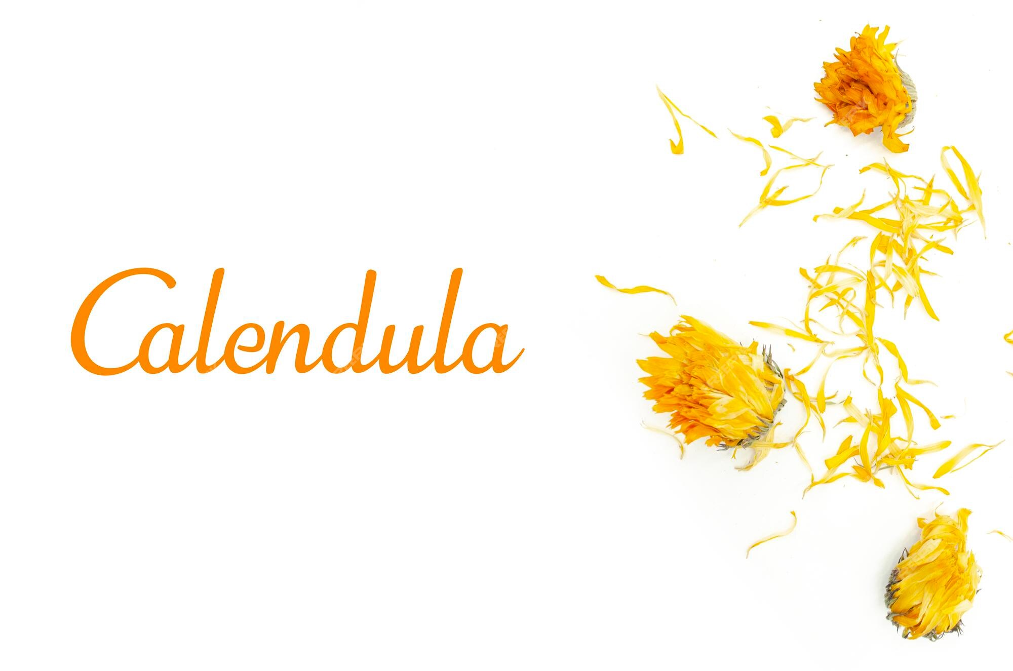 Dry Calendula Flowers