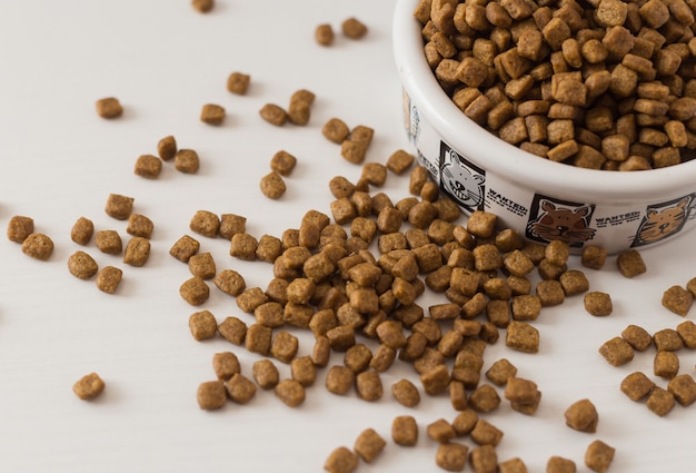 Photo dry cat food in white bowl on white background