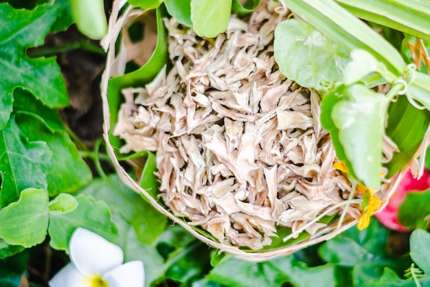 Dry Cissus quadrangularis in basket