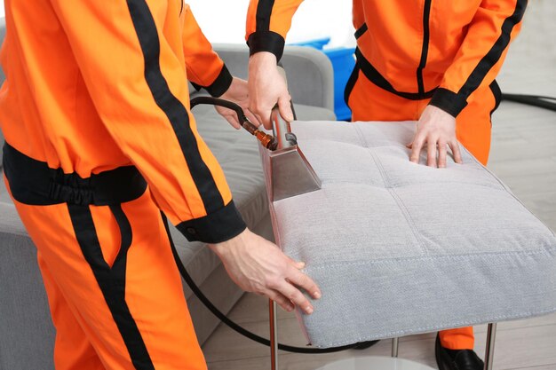 Dry cleaner\'s employees removing dirt from furniture in\
flat