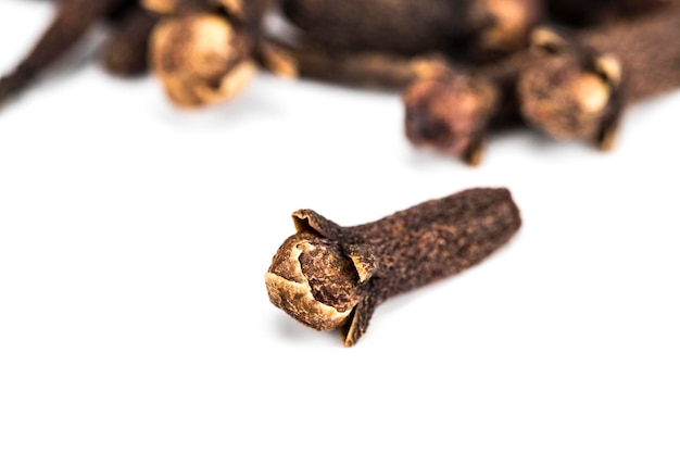 Dry clove isolate on white background, close-up.