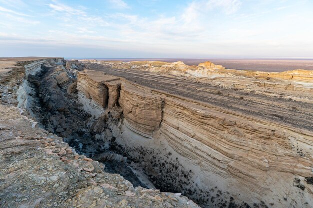 写真 乾燥した海岸 アラル海の海岸線 干上がった海の問題 アラル海の干上がった海底
