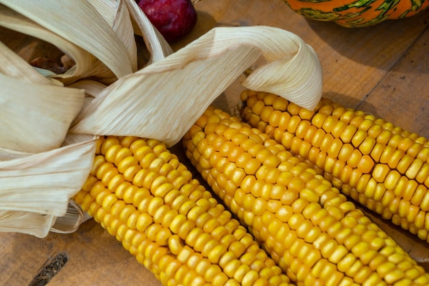 Dry corn on the agricultural market