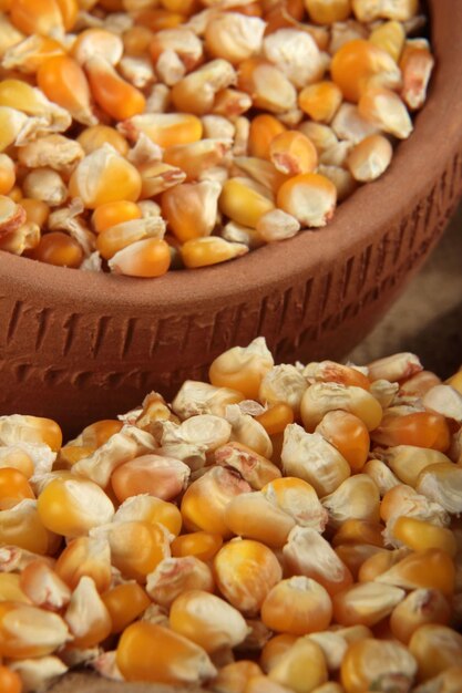 Dry corn grains background