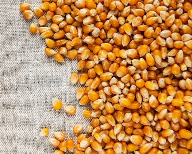 Dry Corn seeds on a old textile background