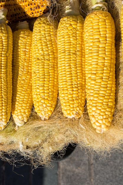 Dry corns on the cob kernels peeled