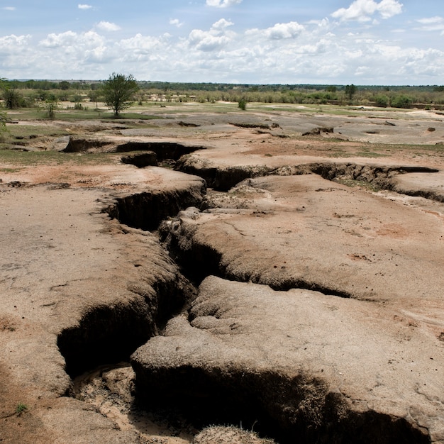乾燥してひび割れたアフリカの風景、タンザニア、アフリカ