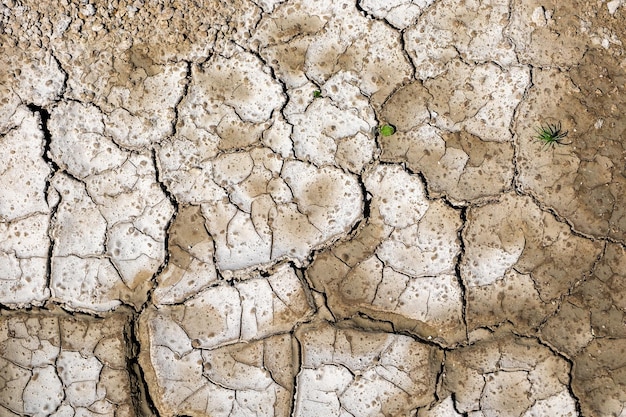 Dry cracked chalk road in the process of drought and lack of rain or moisture Hydrological drought ecological catastrophe