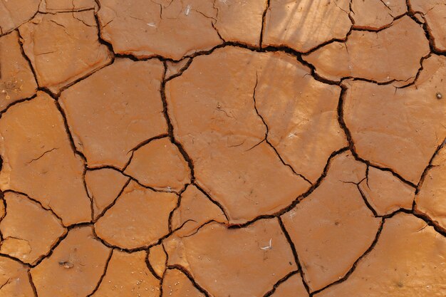 Argilla secca screpolata. superficie del suolo asciutto con fondo strutturato crepe profonde.