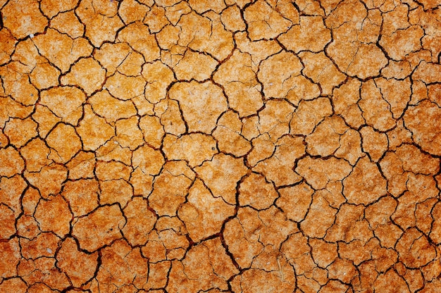 Dry cracked earth background closeup mockup