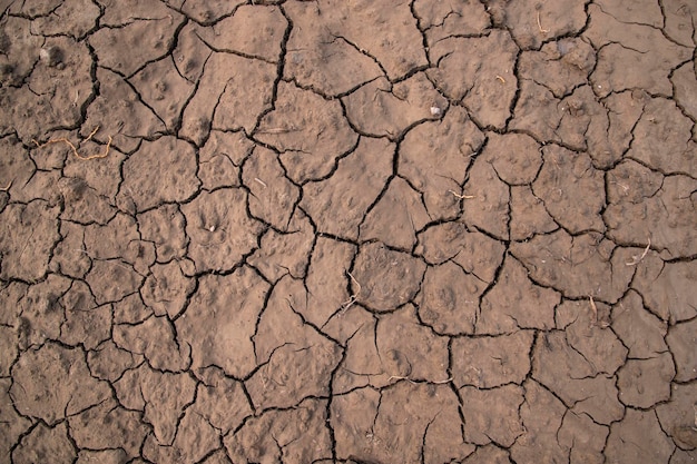 Dry cracked earth background global warming climate change concept