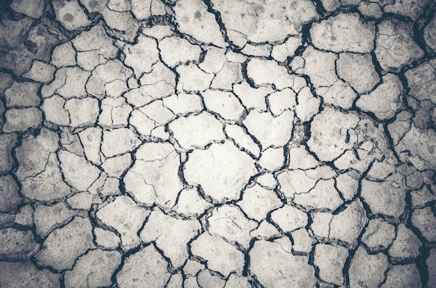 Photo dry cracked earth background