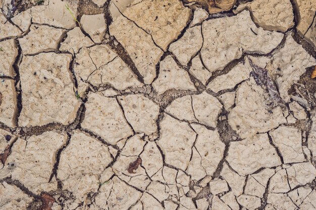 Dry cracked earth. The desert.