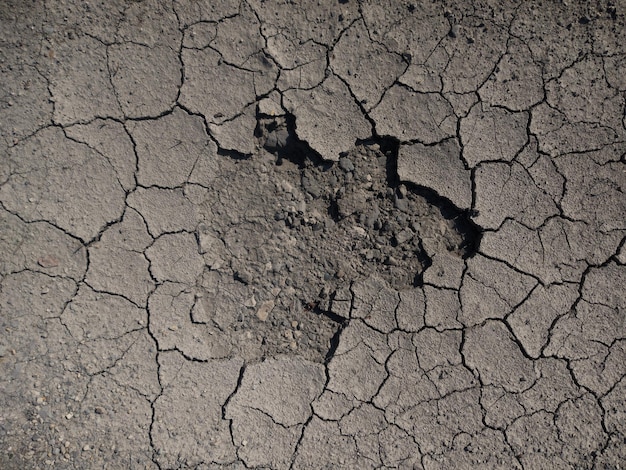 Dry cracked earth Gray background with cracks