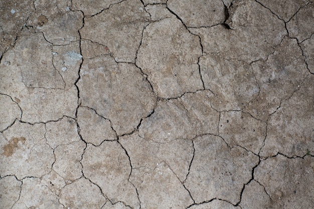 Dry cracked earth ground texture. No watering desert.