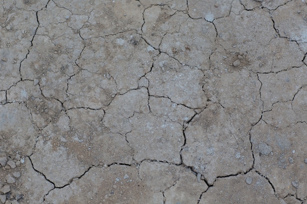 Struttura al suolo della terra incrinata asciutta. nessun deserto d'irrigazione.