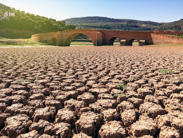 Dry, cracked earth in a swamp without water and a bridge at the bottom