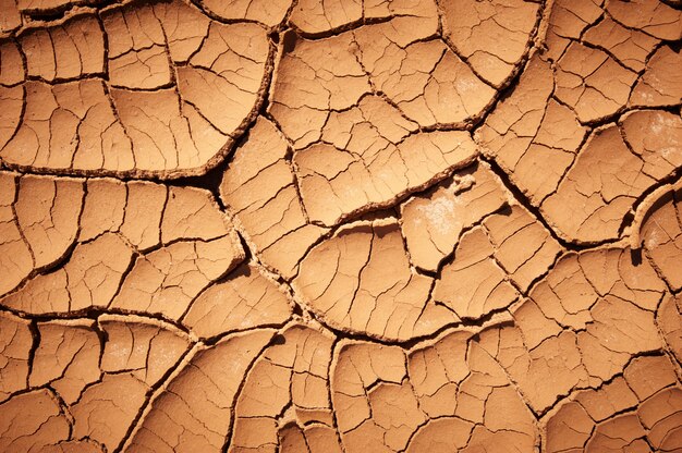 Dry cracked earth texture