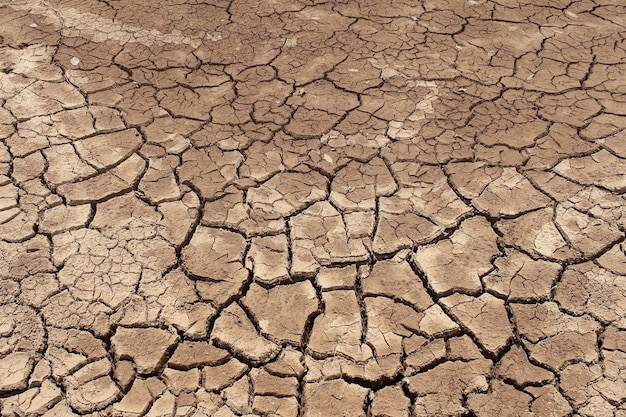 Foto trama di terra incrinata secca