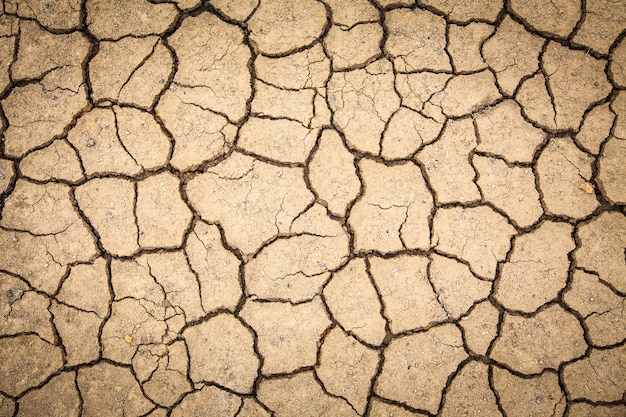 Photo dry cracked of earth