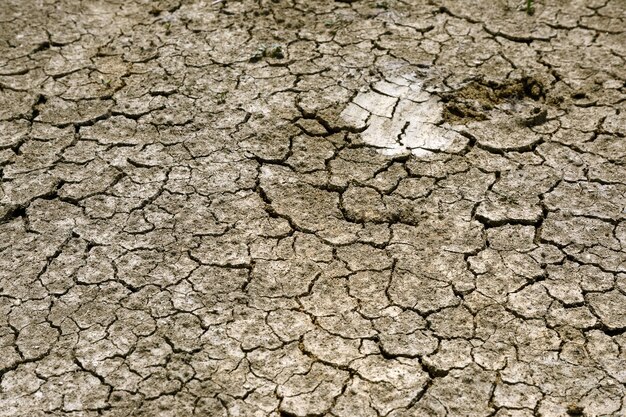 Dry cracked earth