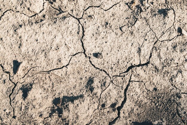 Dry cracked earth