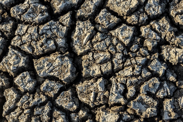 Dry and cracked ground caused by drought in Paraiba, Brazil. Climate change and water crisis.