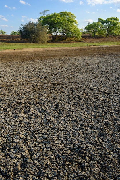 Dry and cracked ground caused by drought in Paraiba, Brazil. Climate change and water crisis.