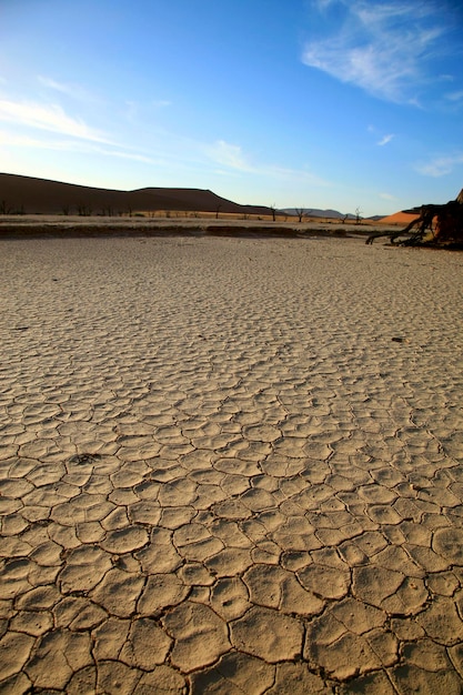 ナミビアの乾燥したひび割れた地面砂漠ソーサス フライ